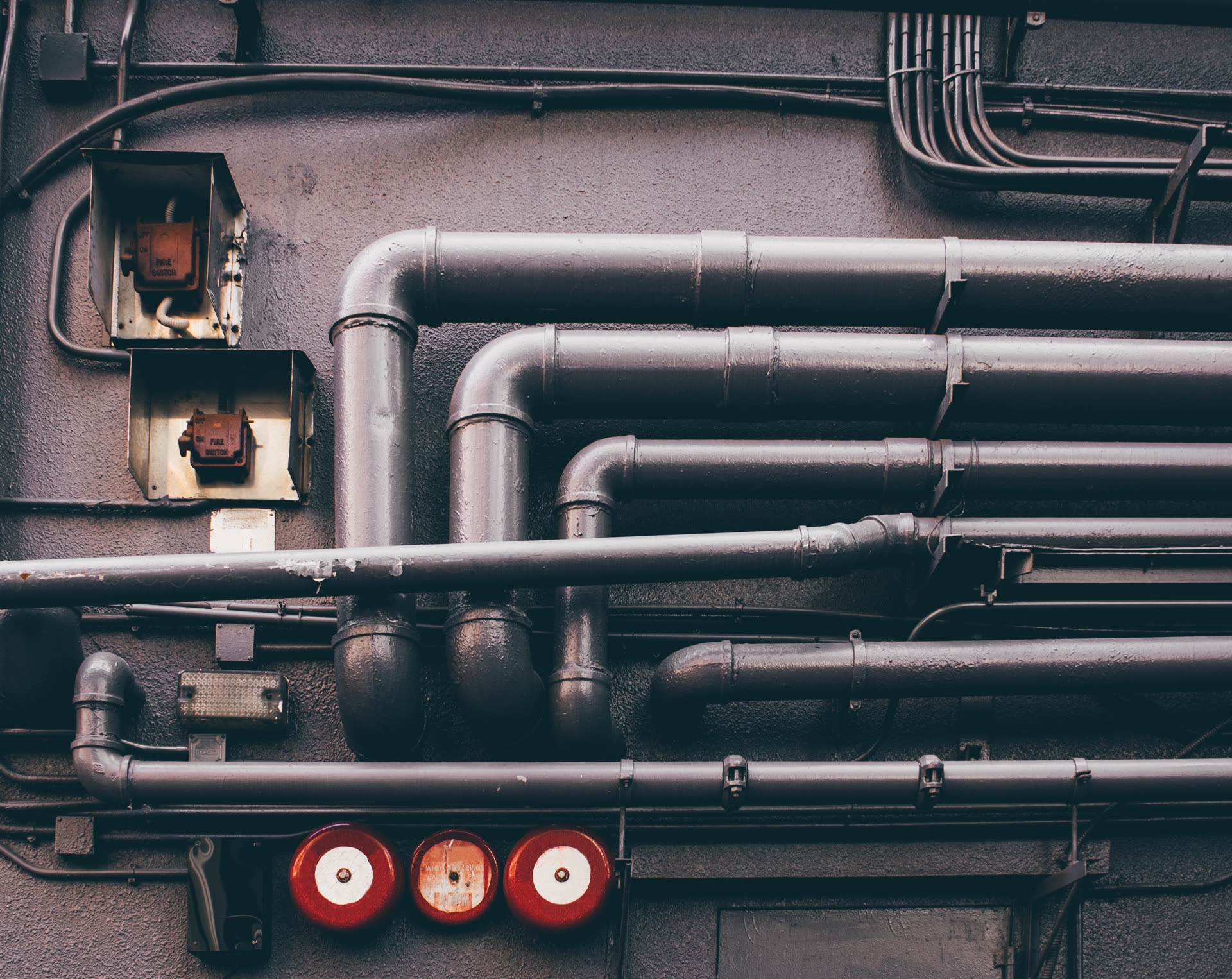 Runs of industrial pipe and conduit on a plant wall